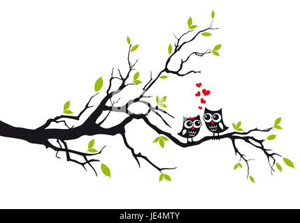 Cute owls amoureux assis sur arbre vert, vector illustration Banque D'Images