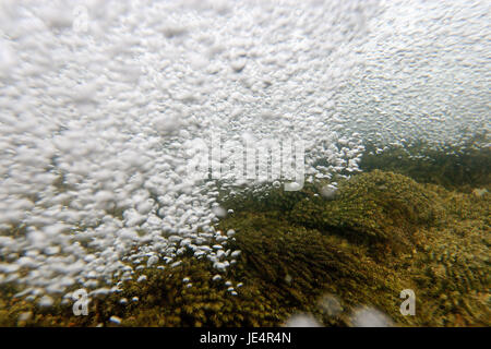 Bulles et mousse d'eau à l'intérieur des cascades de la rivière Mrežnica, Croatie Banque D'Images