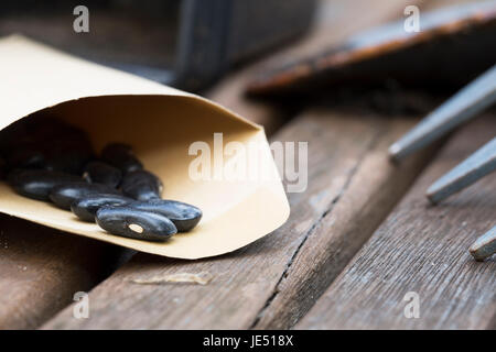 Les graines de haricots vert noir dans le paquet sur la table de jardin prêts pour la plantation. Banque D'Images