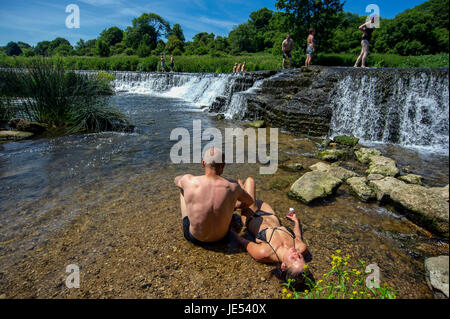 Les nageurs et les baigneurs profiter de l'eau à Warleigh Weir sur la rivière Avon près de Bath dans le Somerset. Banque D'Images