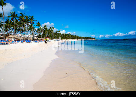 Beau paysage avec de grands palmiers vert au premier plan sur l'arrière-plan d'parasols et chaises longues sur une belle plage exotique Banque D'Images