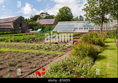 Hôtel particulier, Rhosygilwen Cilgerran, Pembrokeshire, Pays de Galles, Royaume-Uni. La cuisine jardin clos victorien Banque D'Images