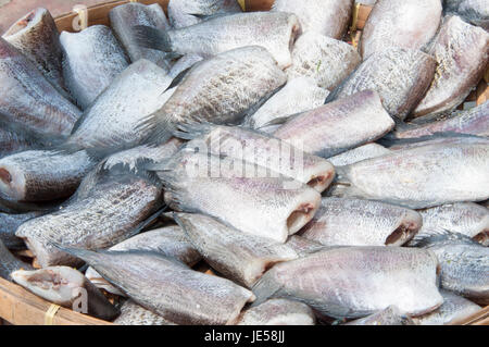 Poisson séché au marché, gourami selective focus Banque D'Images