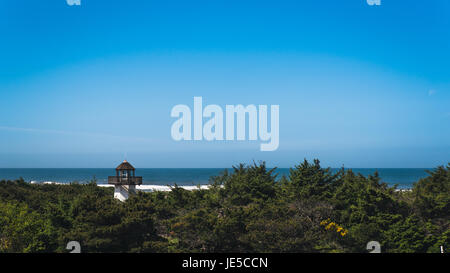 Phare solitaire sur la côte. Banque D'Images