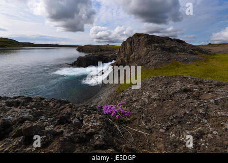 Petite cascade dans un lac sur la péninsule de Snaefellsness. Banque D'Images