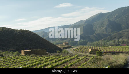 Belle Vallée de Alhama, La région viticole de Rioja, Espagne. Banque D'Images