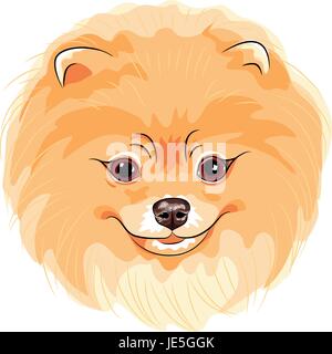 Vector mignon chien Pomeranian Illustration de Vecteur