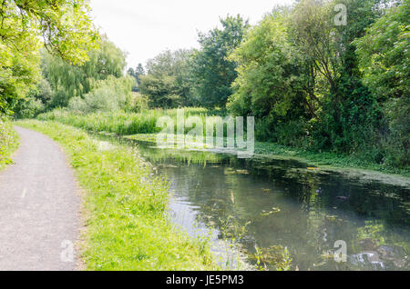 Les piscines et les fens Buckpool à Barrow Hill Réserve naturelle en Dudley ont été construites comme des réservoirs par la Compagnie du Canal de Stourbridge en 1779 Banque D'Images