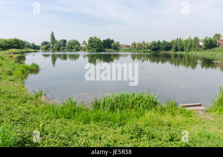 Les piscines et les fens Buckpool à Barrow Hill Réserve naturelle en Dudley ont été construites comme des réservoirs par la Compagnie du Canal de Stourbridge en 1779 Banque D'Images