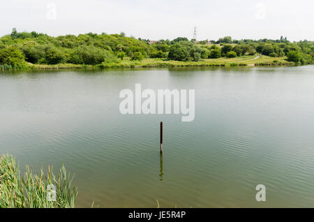 Les piscines et les fens Buckpool à Barrow Hill Réserve naturelle en Dudley ont été construites comme des réservoirs par la Compagnie du Canal de Stourbridge en 1779 Banque D'Images