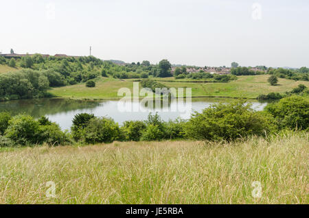 Les piscines et les fens Buckpool à Barrow Hill Réserve naturelle en Dudley ont été construites comme des réservoirs par la Compagnie du Canal de Stourbridge en 1779 Banque D'Images