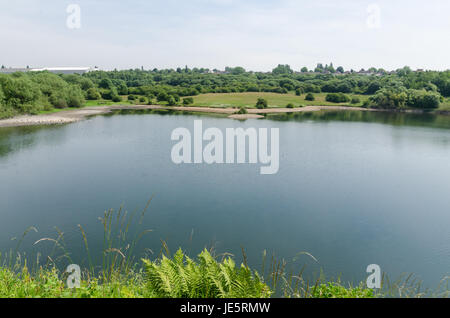 Les piscines et les fens Buckpool à Barrow Hill Réserve naturelle en Dudley ont été construites comme des réservoirs par la Compagnie du Canal de Stourbridge en 1779 Banque D'Images