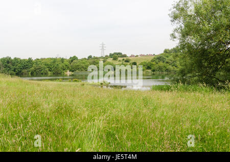 Les piscines et les fens Buckpool à Barrow Hill Réserve naturelle en Dudley ont été construites comme des réservoirs par la Compagnie du Canal de Stourbridge en 1779 Banque D'Images