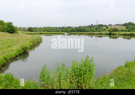 Les piscines et les fens Buckpool à Barrow Hill Réserve naturelle en Dudley ont été construites comme des réservoirs par la Compagnie du Canal de Stourbridge en 1779 Banque D'Images