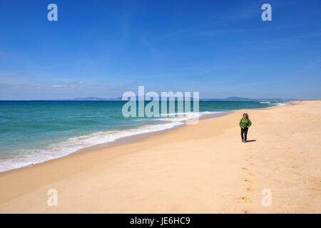 Balade par la plage de Comporta dans la péninsule de Troia. Portugal Banque D'Images