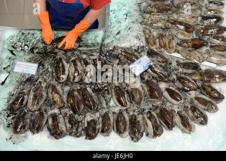 La seiche dans le Mercado do Livramento, le principal marché alimentaire à Setúbal. Portugal Banque D'Images