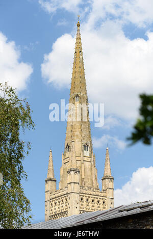 Spire et tour dans le coin du cloître à la cathédrale de l'église chrétienne de la Trinité, à Norwich, en Angleterre, dont la construction a commencé par t Banque D'Images