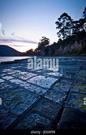 L'Australie, la Tasmanie, la péninsule de Tasman, coast, 'Tesselated Pavement', crépuscule, eucalyptus, Banque D'Images