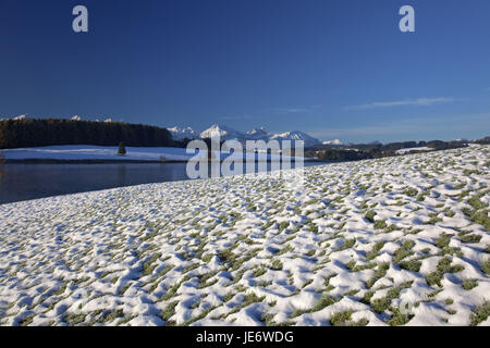 Avec Illasbergsee montagnes Allgäuer Forggensee, en automne, Halblech, à l'est, de l'Allgäu Allgäu souabe, Bavière, Allemagne du Sud, l'Allemagne,, Banque D'Images