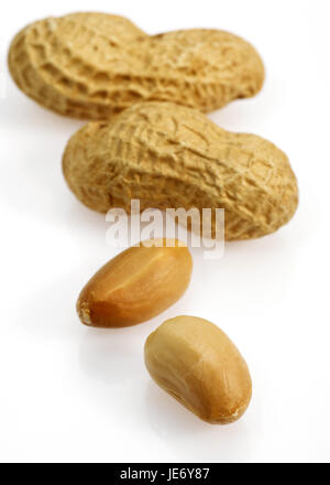 Arachide, Arachis hypogaea, fruits, fond blanc, Banque D'Images