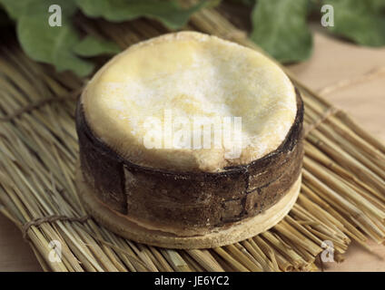 Le fromage, Vacherin Mont d'or, de lait de vache, Suisse, Jura en France, Banque D'Images