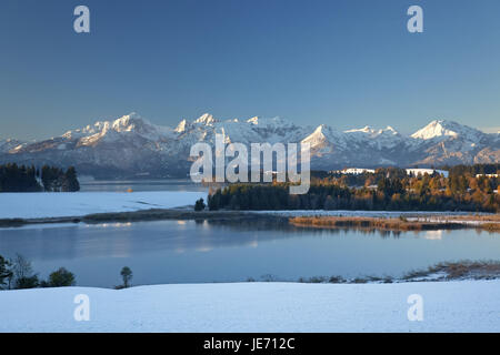 Avec Illasbergsee montagnes Allgäuer Forggensee, en automne, Halblech, à l'est, de l'Allgäu Allgäu souabe, Bavière, Allemagne du Sud, l'Allemagne,, Banque D'Images