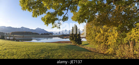 L'automne dans le Forggensee, Allgäu, Allemagne, Bavarois, les Alpes, les contreforts des Alpes, Jura Souabe, de l'Allgäu, l'angle du roi, Allgäuer alpes, alpes Ammergau, Illasbergsee, Banque D'Images