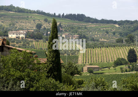 Italie, Toscane, région viticole du Chianti, salon, Banque D'Images