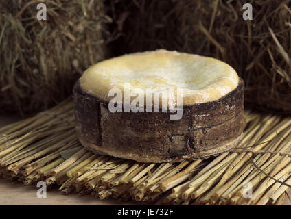 Le fromage, Vacherin Mont d'or, de lait de vache, Suisse, Jura en France, Banque D'Images