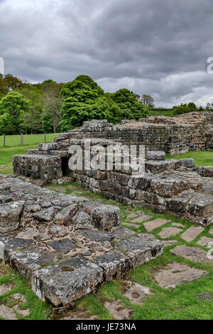 Ruines romaines de l'un des ponts romains à Willowford (traversant la rivière Irthing), mur d'Hadrien, Cumbria, Angleterre, Royaume-Uni Banque D'Images