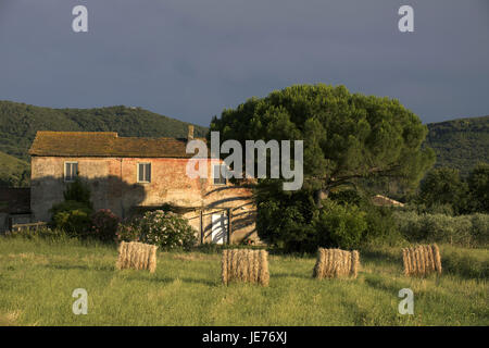 L'Italie, la Toscane, la Maremma, Monte Argentario, ferme, Banque D'Images