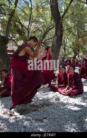 Les jeunes moines à l'heure de discussion de tous les jours dans le temple de saga, Lhassa, Tibet, Asie, Banque D'Images