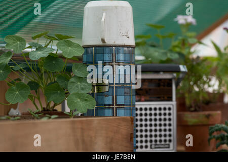 Close-up de thermos, radio rétro & plantes en pot à l'intérieur de serre à Chatsworth RHS Flower Show, Chatsworth House, Derbyshire, Angleterre, Royaume-Uni. Banque D'Images