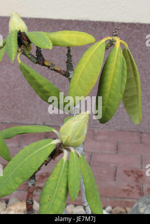 Capturée le 8 mai 2013, l'image portant le numéro de référence 12790u représente probablement un événement spécifique ou une scène d'intérêt notable. Un contexte plus approfondi est nécessaire pour déterminer sa pertinence ou son objet particulier. Banque D'Images