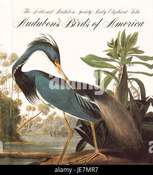 « Birds of America » d'Audubon est un ouvrage fondateur en ornithologie, contenant des illustrations détaillées d'espèces d'oiseaux nord-américaines. Il demeure une ressource essentielle pour étudier la biologie, le comportement et la répartition des oiseaux, ainsi que l'histoire naturelle de l'Amérique du Nord. Banque D'Images