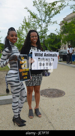 Washington, USA. 22 Juin, 2017. Membre de PETA (People for the Ethical Treatment of Animals) dont un qui est habillé comme un zèbre en body paint pour protester contre un cirque de venir à Washington DC. Credit : Patsy Lynch/Alamy Live News Banque D'Images