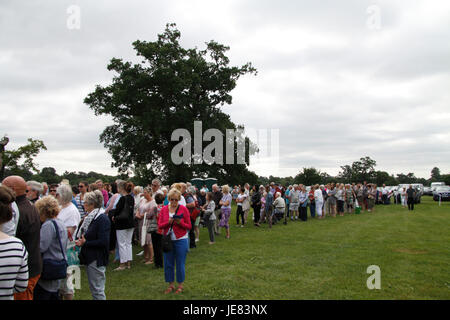 Blenheim, UK. 23 Jun, 2017. Flowershow Blenheim ouverture Crédit : MELVIN GREEN/Alamy Live News Banque D'Images