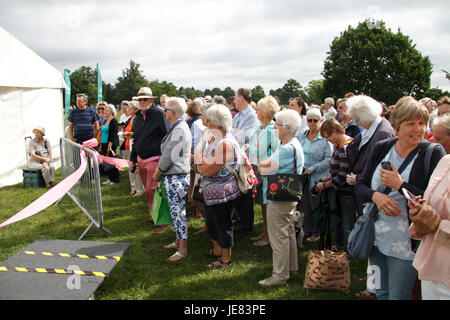 Blenheim, UK. 23 Jun, 2017. Flowershow Blenheim ouverture Crédit : MELVIN GREEN/Alamy Live News Banque D'Images