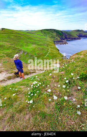 Une femme en short avec son chien appréciant la vue du sentier côtier de Cornwall entre Port Isaac et Port Quin avec le chemin étiré en la distance sur un jour d'été avec des fleurs sauvages en premier plan Banque D'Images