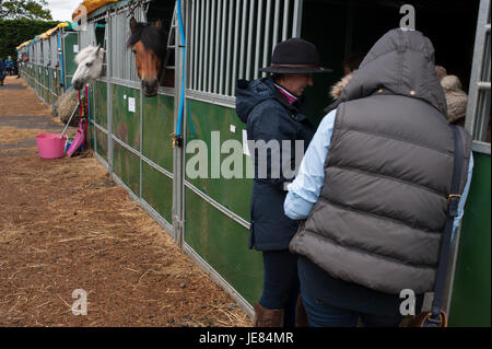 Ingliston, Édimbourg, Écosse, Royaume-Uni. 23 Juin, 2017. Royal Highland Show 2017. Le Pep Masip/Alamy Live News Banque D'Images