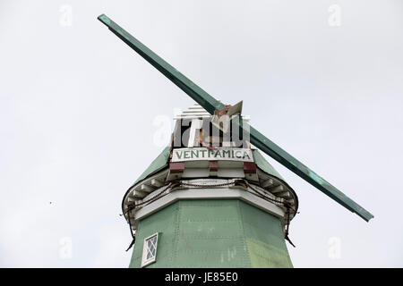 Hollern-Twielenfleth, Allemagne. 22 Juin, 2017. Le wingsless moulin de Venti Amica 1851 peut être vu dans Hollern-Twielenfleth, Allemagne, 22 juin 2017. Les tempêtes ont fortement endommagé le moulin - en réponse les ailes, s'étendant sur 21, 30 mètres et pesant 4 tonnes, a dû être prise vers le bas. Photo : Jörg Sarbach/dpa/Alamy Live News Banque D'Images