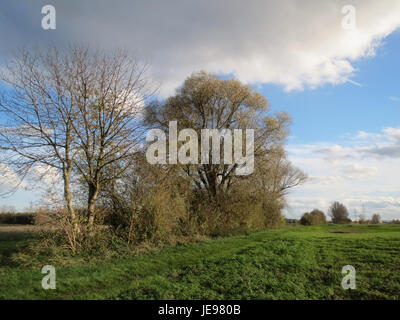 Une photographie prise le 9 novembre 2013, capturant Karl-Ludwig-See. L'image dépeint le sujet dans un cadre naturel, offrant un instantané visuel d'un moment précis. Banque D'Images