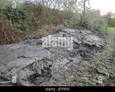 Cette image représente probablement un site historique ou culturel, étiqueté sous la date 2013-11-25. Le titre suggère une œuvre d'art ou une photographie prise par Horst Stuecker, connu pour capturer des sujets historiques ou architecturaux. Les détails du sujet spécifique ne sont pas clairs, mais peuvent impliquer une structure ou un événement remarquable. Banque D'Images