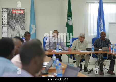 2014 05 22 Réunion de coordination d'aide aux victimes d'UNMASS-2 (14243063232) Banque D'Images