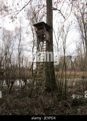 Photographie prise le 30 novembre 2012 du Ketscher Altrhein, un fleuve allemand connu pour sa biodiversité et son importance écologique dans le système fluvial du Rhin. Banque D'Images