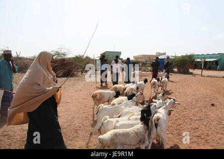 20140728 Eidul Fitr à Beletweyn-14.jpg (14581308760) Banque D'Images