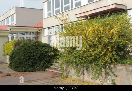 Ce titre fait référence à un événement ou à un enregistrement spécifique survenu le 1er mai 2013, probablement un ensemble de données ou une entrée horodatée, sans plus de détails spécifiques. Il peut représenter un jalon, un événement ou une entrée de données spécifique lié à une industrie ou à une étude au cours de cette période. Banque D'Images