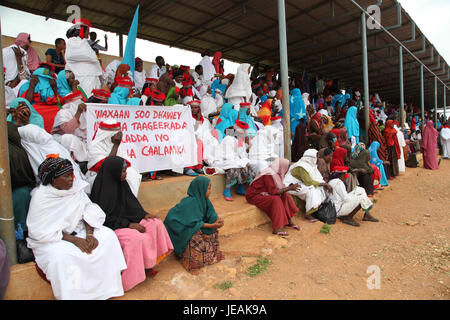 2014 11 20 04 (sud-ouest de partisans Admin 15844670022) Banque D'Images