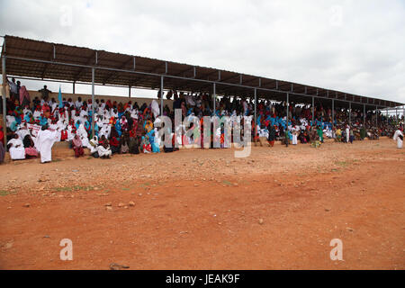 2014 11 20 08 (sud-ouest de partisans Admin 15223037534) Banque D'Images