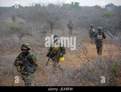 2013 Buur-Hakba 0227 f (8551138716) Banque D'Images